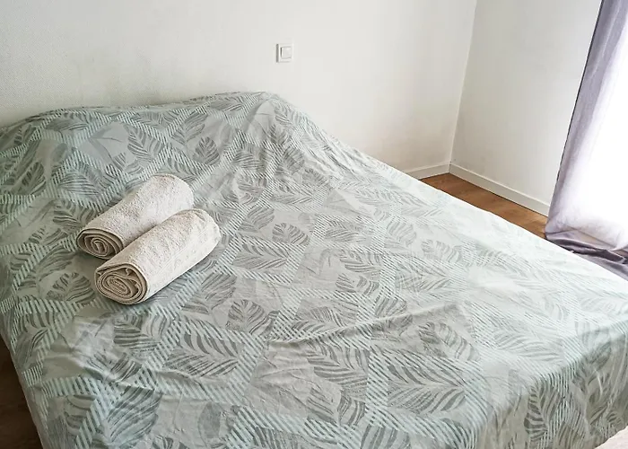 Grand Proche Centre Parking Gratuit Perpignan